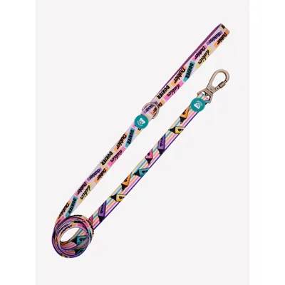 Dukier Laisse Cool School pour chien