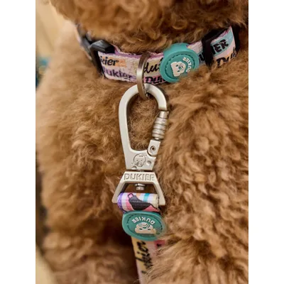 Dukier Laisse Cool School pour chien