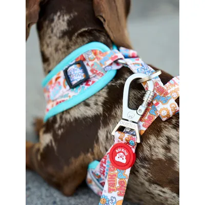 Dukier Laisse Stickers pour chien