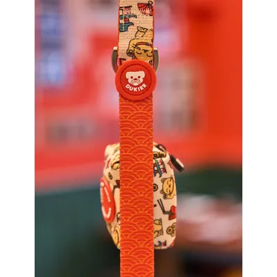 Dukier Laisse Asian pour chien