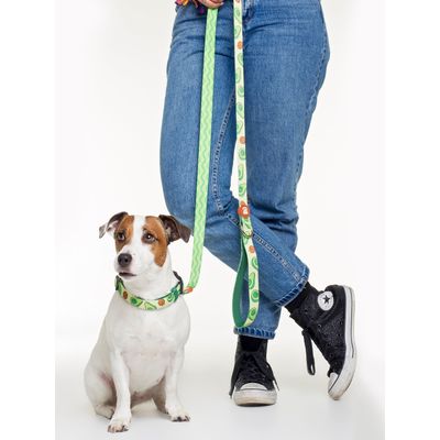 Dukier Laisse Avocado pour chien