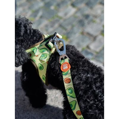 Dukier Laisse Avocado pour chien
