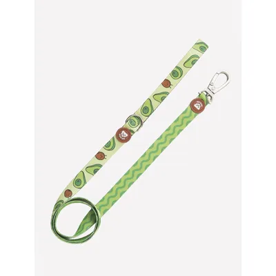 Dukier Laisse Avocado pour chien