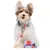 Dukier Laisse Churros pour chien