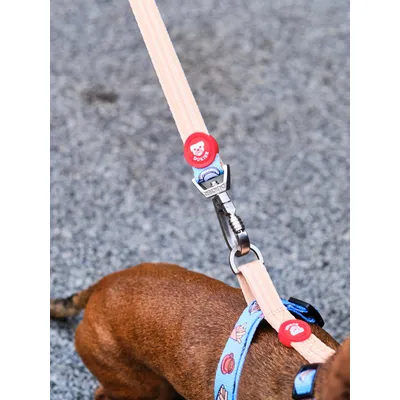 Dukier Laisse Churros pour chien