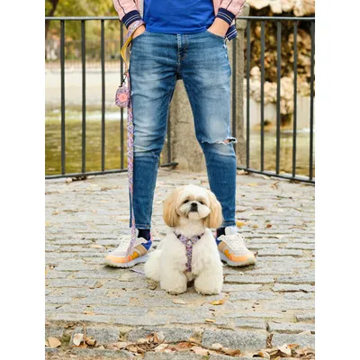 Dukier Laisse Flower Power pour chien