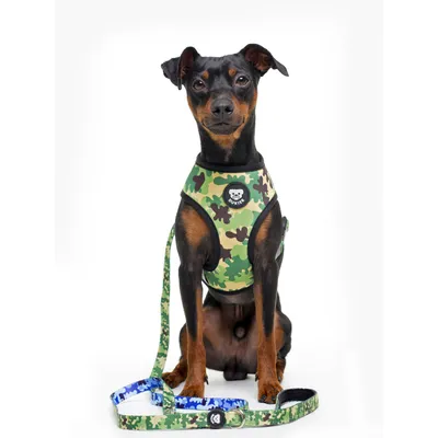 Dukier Laisse Camo pour chien