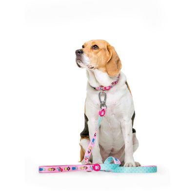 Dukier Laisse Princess pour chien