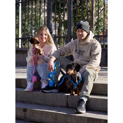 Dukier Laisse Blue pour chien