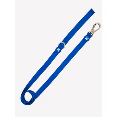 Dukier Laisse Blue pour chien
