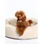 Dukier Lit Beige pour chien