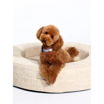 Dukier Lit Beige pour chien