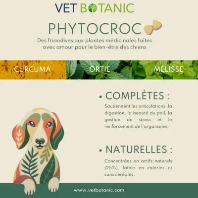 VETBOTANIC   Friandises aux plantes pour chiens PHYTOCROC