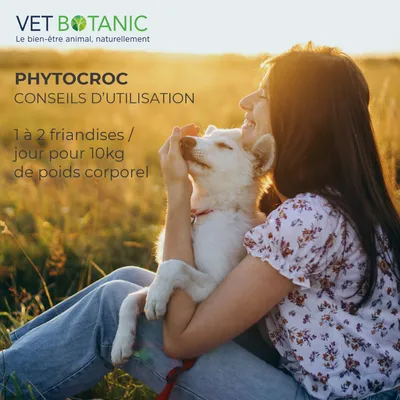 VETBOTANIC   Friandises aux plantes pour chiens PHYTOCROC