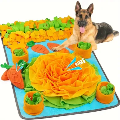 IntiMeg Tapis de fouille interactif