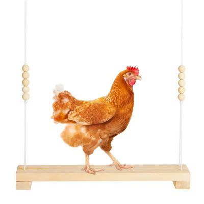 IntiMeg Balançoire pour volailles