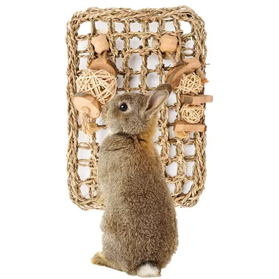 IntiMeg Tapis en paille de mer avec jouets suspendus