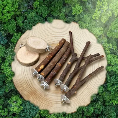 IntiMeg Ensemble de 8 jouets pour oiseaux