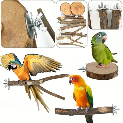 IntiMeg Ensemble de 8 jouets pour oiseaux