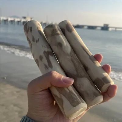 IntiMeg Bâtonnet de dentelavage en bois de café pour chien