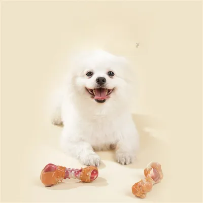 IntiMeg Jouets en caoutchouc en forme d'os