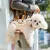 IntiMeg Sac de transport pour chien et chat IntiMeg Sac de transport pour chien et chat