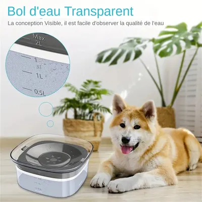 IntiMeg Bol d'eau flottant pour animaux de compagnie