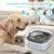 IntiMeg Bol d'eau flottant pour animaux de compagnie