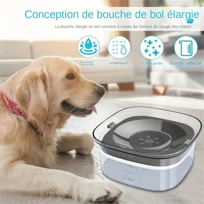 IntiMeg Bol d'eau flottant pour animaux de compagnie