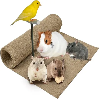 IntiMeg Tapis litière en chanvre naturel 60 × 60 cm