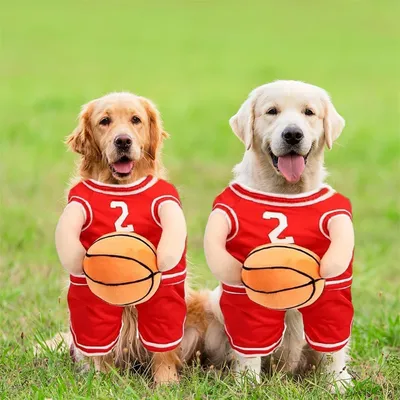 IntiMeg Basketballspieler-Kostüm IntiMeg Basketballspieler-Kostüm