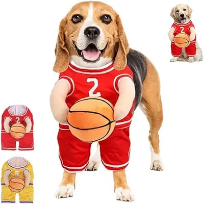 IntiMeg Basketballspieler-Kostüm IntiMeg Basketballspieler-Kostüm