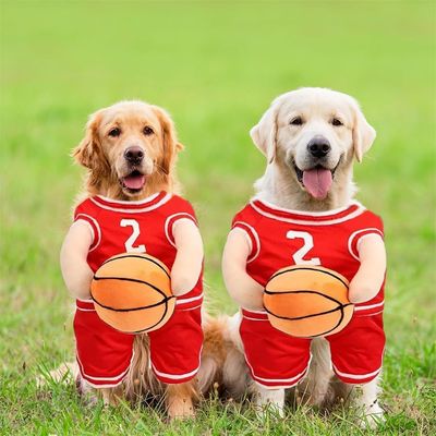 IntiMeg Disfraz de jugador de baloncesto