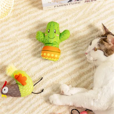 IntiMeg Peluche Cactus pour chat