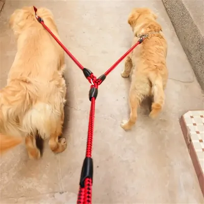 IntiMeg Correa doble para dos perros
