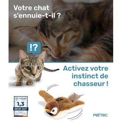 Moineau interactif