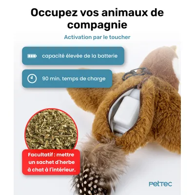 Moineau interactif