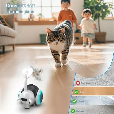 Jouet pour chat à commande à distance interactif pour chats