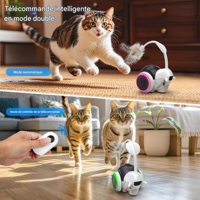 Jouet pour chat à commande à distance interactif pour chats