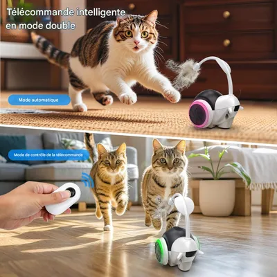Jouet pour chat à commande à distance interactif pour chats