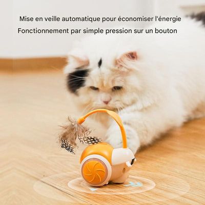 Jouet pour chat à commande à distance interactif pour chats