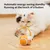 Jouet pour chat à commande à distance interactif pour chats