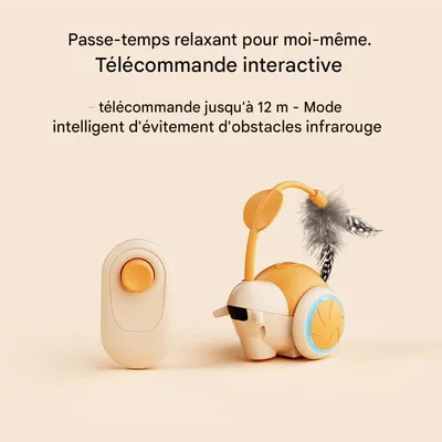Jouet pour chat à commande à distance interactif pour chats