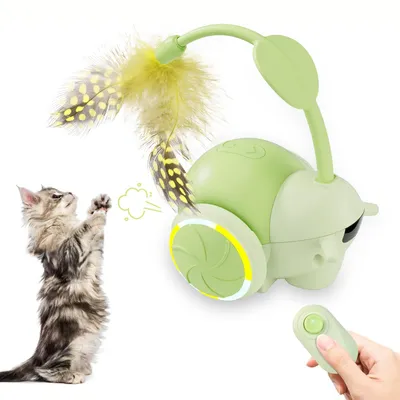 Jouet pour chat à commande à distance interactif pour chats