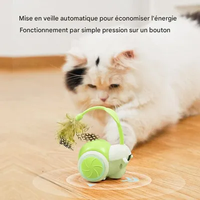 Jouet pour chat à commande à distance interactif pour chats
