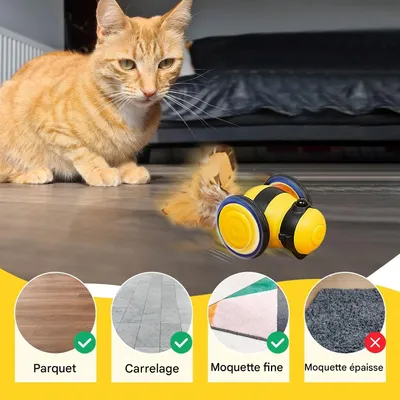 Living123 Jouet interactif pour chat