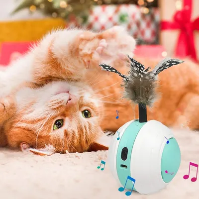 Jouet de puzzle interactif pour chat, Balle automatique