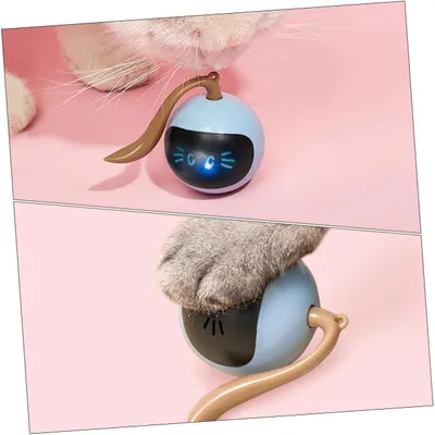 Jouet interactif électrique automatique pour chatons