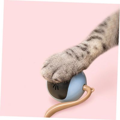 Jouet interactif électrique automatique pour chatons