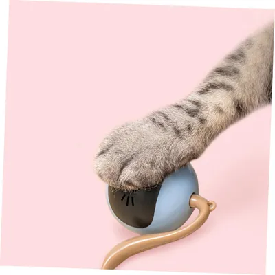 Jouet interactif électrique automatique pour chatons